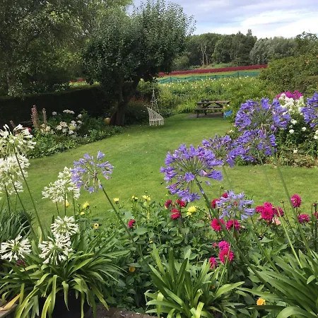 Bed & Breakfast In Characteristic Near Zandvoort/ Amsterdam Aerdenhout