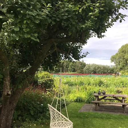 Bed & Breakfast Bed & Breakfast In Characteristic Near Zandvoort/ Amsterdam *