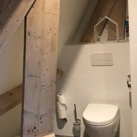 Bed & Breakfast In Characteristic Near Zandvoort/ Amsterdam *