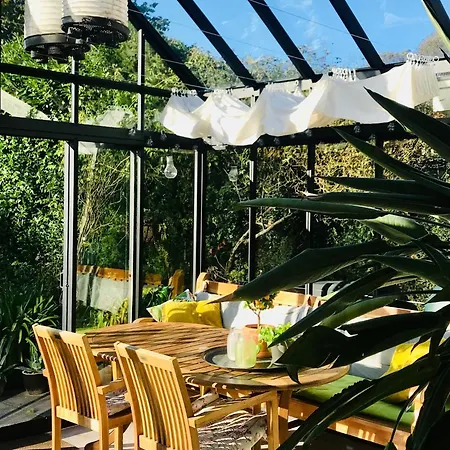 Bed & Breakfast In Characteristic Near Zandvoort/ Amsterdam Aerdenhout